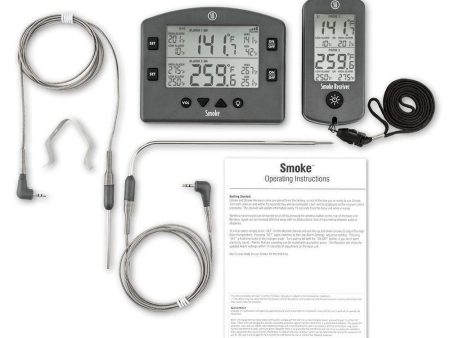 Thermoworks Smoke Dual-Channel Thermometer - Charcoal For Sale