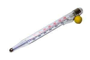 Taylor Basic Candy, Jelly & Deep Fry Thermometer Online Sale